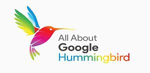 Hummingbird چیست؟